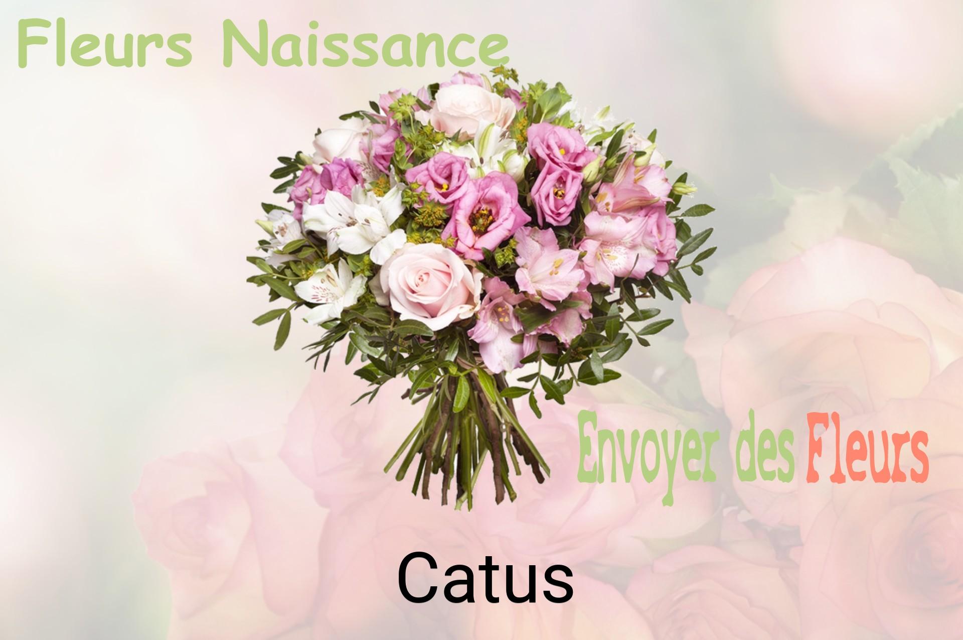 Bouquet de fleurs de naissance livré à Catus