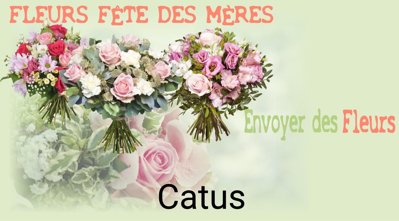 Bouquet de Fête des Mères livré à Catus